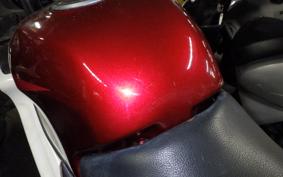 KAWASAKI ZZ-R250 EX250H