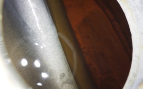 HONDA CD125T BENLY 2020 CD125T