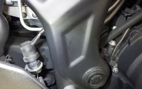 YAMAHA YZF-R25 A 2024 RG10J