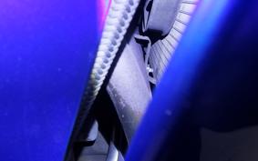 HONDA CBR1100XX 2000