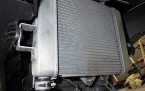 SUZUKI GSX-S125 2015 DL32D