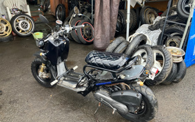 HONDA ZUMAR AF58