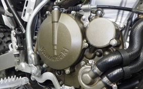 KAWASAKI KLX250 2024 LX250E