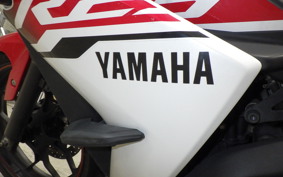 YAMAHA YZF-R25 2024 RG10J