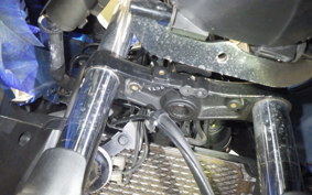 SUZUKI GSX250RA 2025