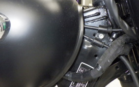 OTHER +ENFIELD ﾒﾃｵ350 2024