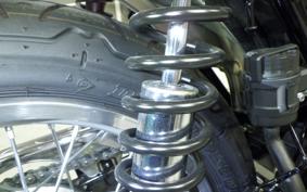 KAWASAKI W800 2024 EJ800E