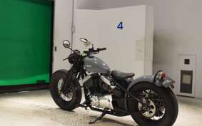 OTHER +UNREGISTERED MODEL by BDS250 2015