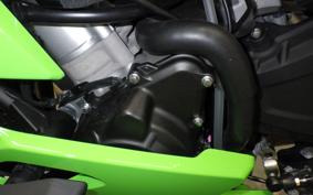KAWASAKI ZX-4RR 2026 ZX400P