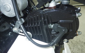 HONDA GROM