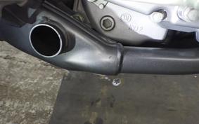 HONDA CRF250M 2006 MD38