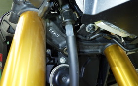 KAWASAKI Z125 PRO 2009 BR125H