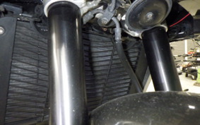 YAMAHA FZ1 FAZER 2011 RN21J