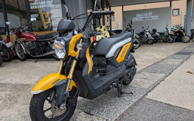 HONDA ZOOMER-X JF52
