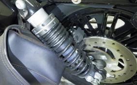 HARLEY XL1200XS 2019