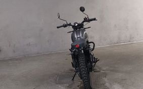 OTHER  MAT MASSHUMAN250 ..