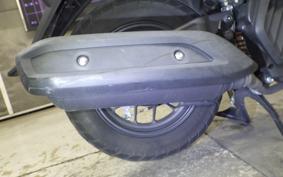 HONDA ﾀﾞﾝｸ 2024 AF78