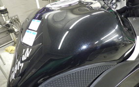 KAWASAKI NINJA 1000SX 2024 ZXT02K