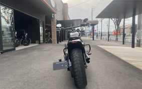 HARLEY FXFBS 2018 YLK