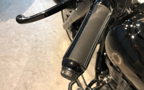 HARLEY FLFBS 2020 YRK