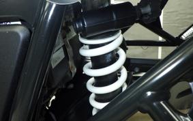 BMW R NINE T SCRAMBLER 2024