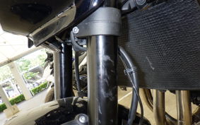 KAWASAKI Z900RS CAFE 2023 ZR900K