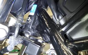 HONDA REBEL 250 2008 MC49