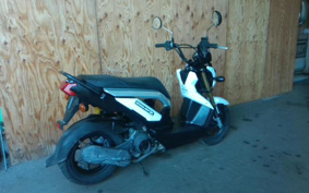 HONDA ZOOMER-X JF38