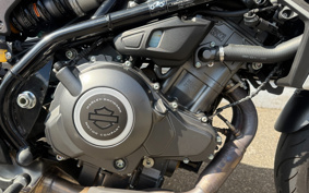 HARLEY  HARLEY X350 2024 W3C