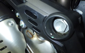 DUCATI SCRAMBLERアイコンダー 2025