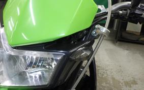 KAWASAKI KLX250D TRACKER X 2017 LX250V