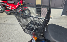 HONDA  TACT  BASIC  AF79