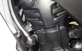 KAWASAKI NINJA 1100SX 2025