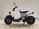 Фото Honda ZOOMER 2007 с японского аукциона