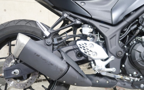 YAMAHA MT-25 RG74J