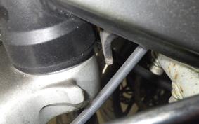 MOTO GUZZI CALIFORNIA JACKALL 1999