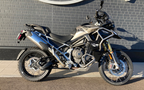 TRIUMPH  TRIUMPH  TIGER 1200GTPRO 2024 TAP20V