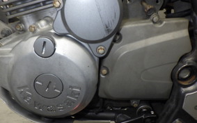 KAWASAKI SUPER SHERPA 2023 KL250G