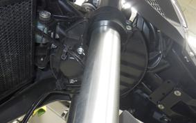 BENELLI TRK251 2024