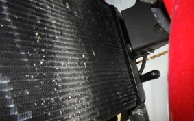 YAMAHA XSR900 GP 2024 RN96J