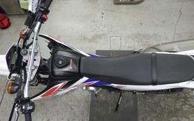 YAMAHA WR250X