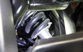 SUZUKI V-STROM 250 2021