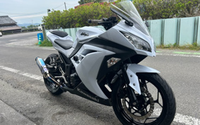 KAWASAKI NINJA 250 EX250L