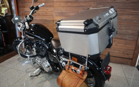 HARLEY XL1200C 2011 CT3