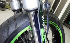 KAWASAKI KLX250D TRACKER X 2024 LX250V