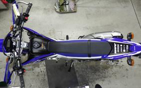 YAMAHA WR250R 2019 DG15J
