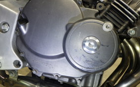 HONDA HORNET 250 2010 MC31