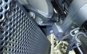 KAWASAKI Z900RS 2019 ZR900C