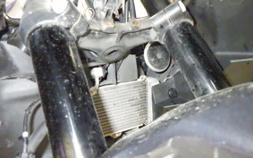 YAMAHA YZF-R15A 1998 RG86J