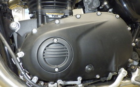 TRIUMPH BONNEVILLE T100 2024